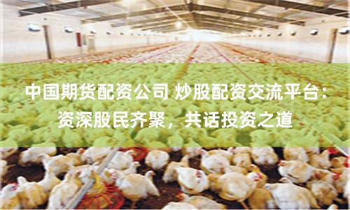 中国期货配资公司 炒股配资交流平台：资深股民齐聚，共话投资之道