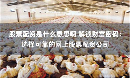股票配资是什么意思啊 解锁财富密码：选择可靠的网上股票配资公司