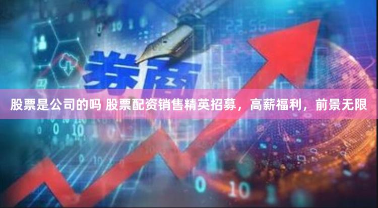 股票是公司的吗 股票配资销售精英招募，高薪福利，前景无限