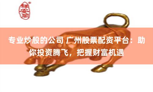 专业炒股的公司 广州股票配资平台：助你投资腾飞，把握财富机遇